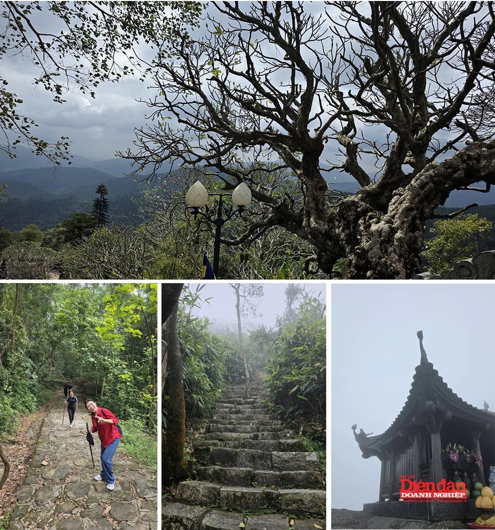 Yên Tử - Kinh tế khởi sắc giữa trời thu